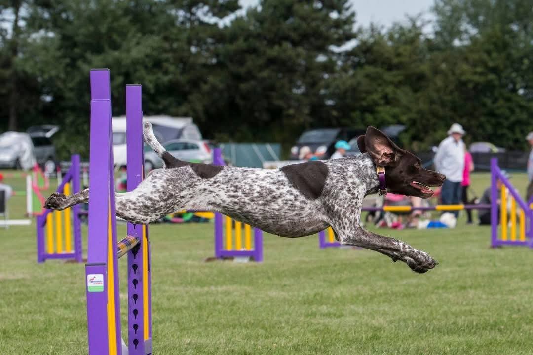 Agility 2