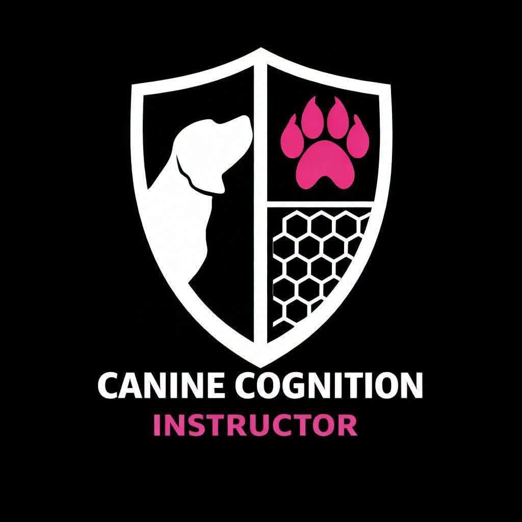 Cognition logo graphic