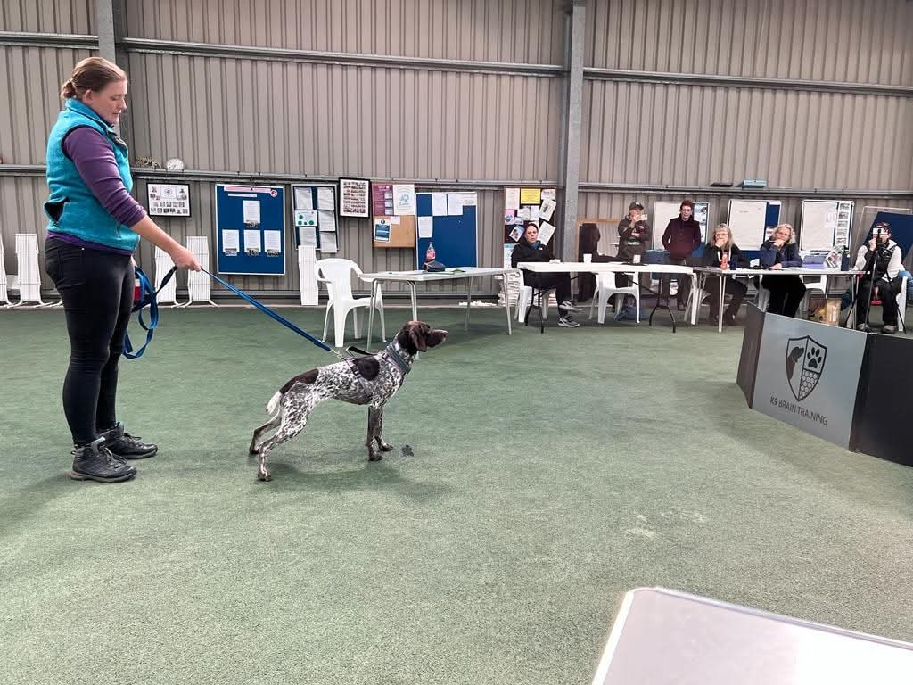 Canine Cognition photo 2