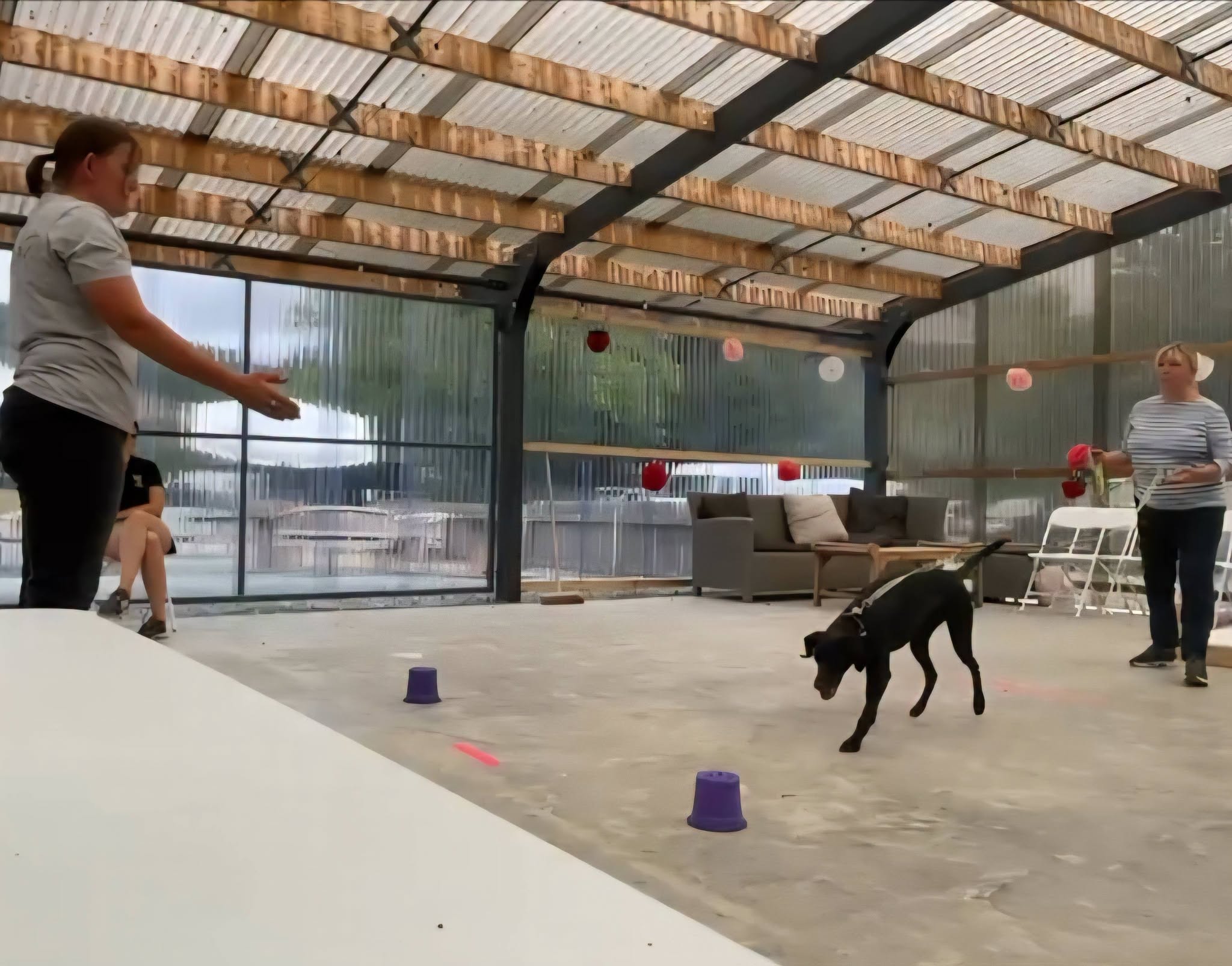 Canine Cognition photo 1