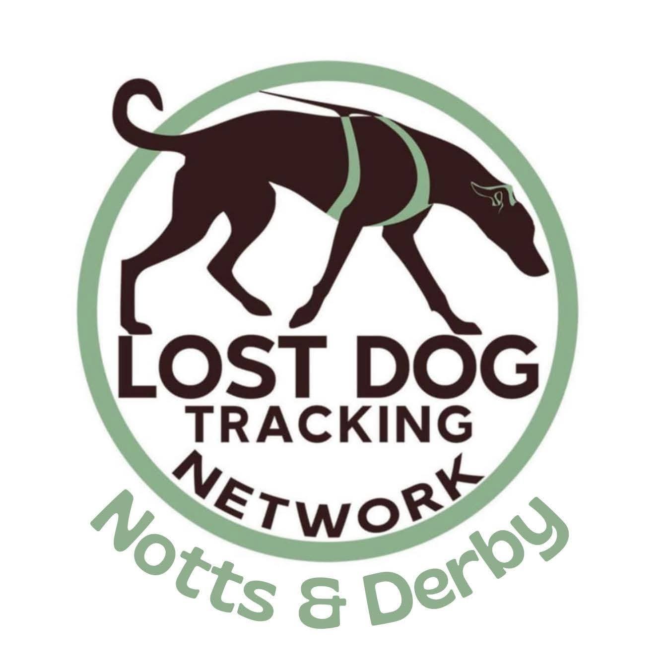 LDTN logo graphic
