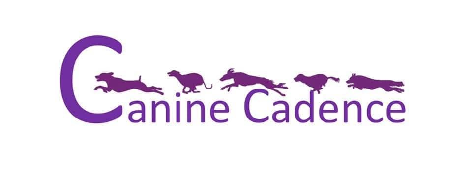 logo graphic