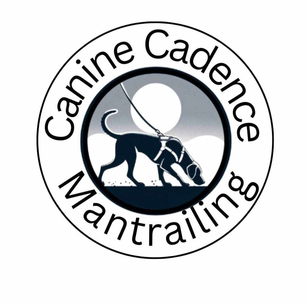 Mantrailing logo graphic