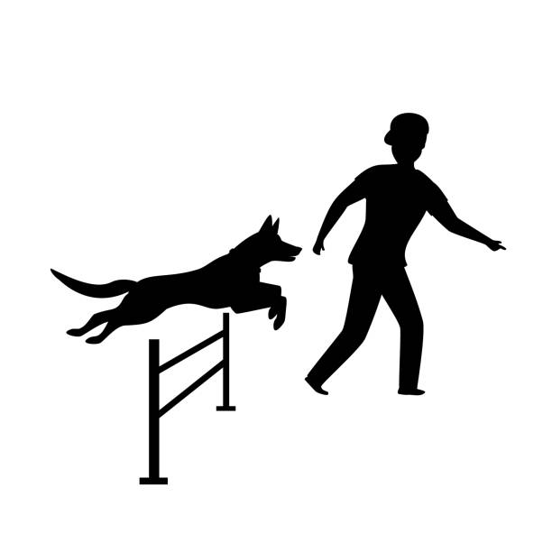 Agility logo graphic